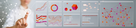 Data Literacy Basiskurs